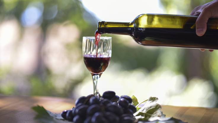 ¿Quieres ser el mejor catador de vinos? Todo empieza desde la uva que elijas