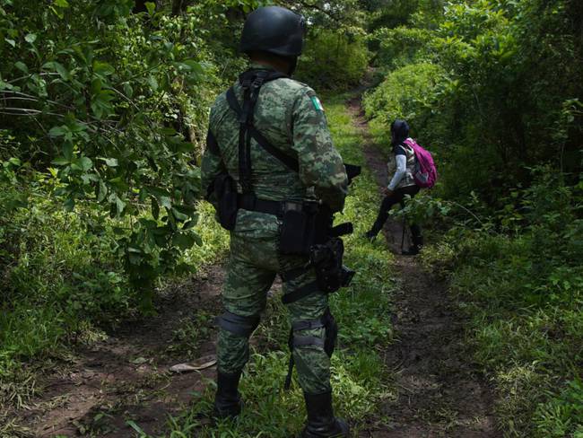 Diputada denuncia hallazgo de más de 50 cuerpos en fosas en Michoacán