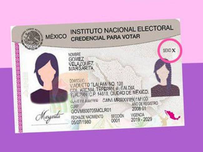 INE reconoce a personas no binarias en credencial para votar