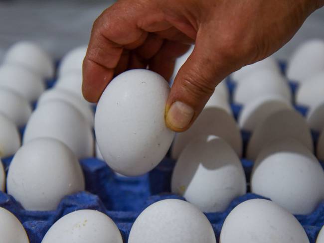 Baja precio de huevo, pollo, limón y cebolla: Profeco