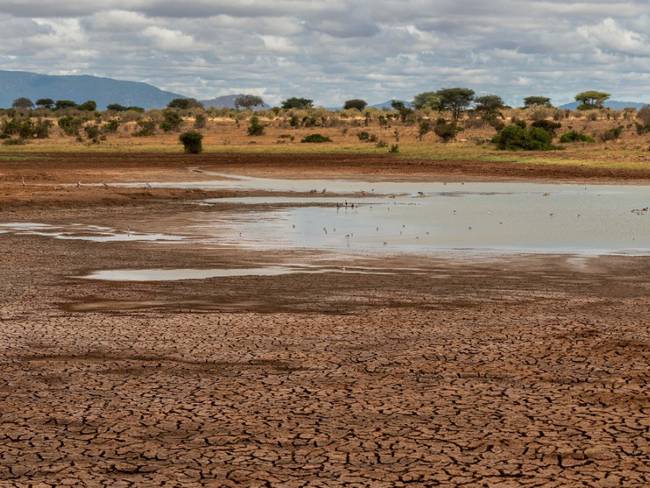 Conagua declara emergencia por sequía en México; estas son algunas medidas