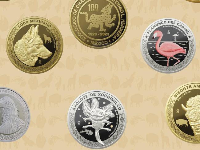 Filas enormes y revendedores por monedas del Zoológico de Chapultepec