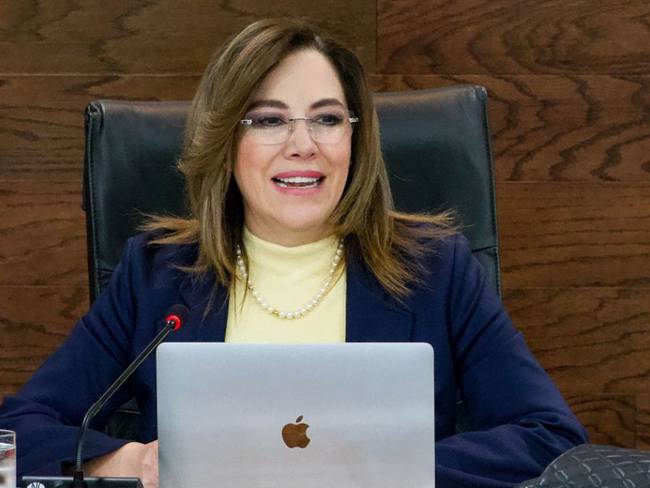 Senado obligado a nombrar a los comisionados del INAI: Blanca L. Ibarra