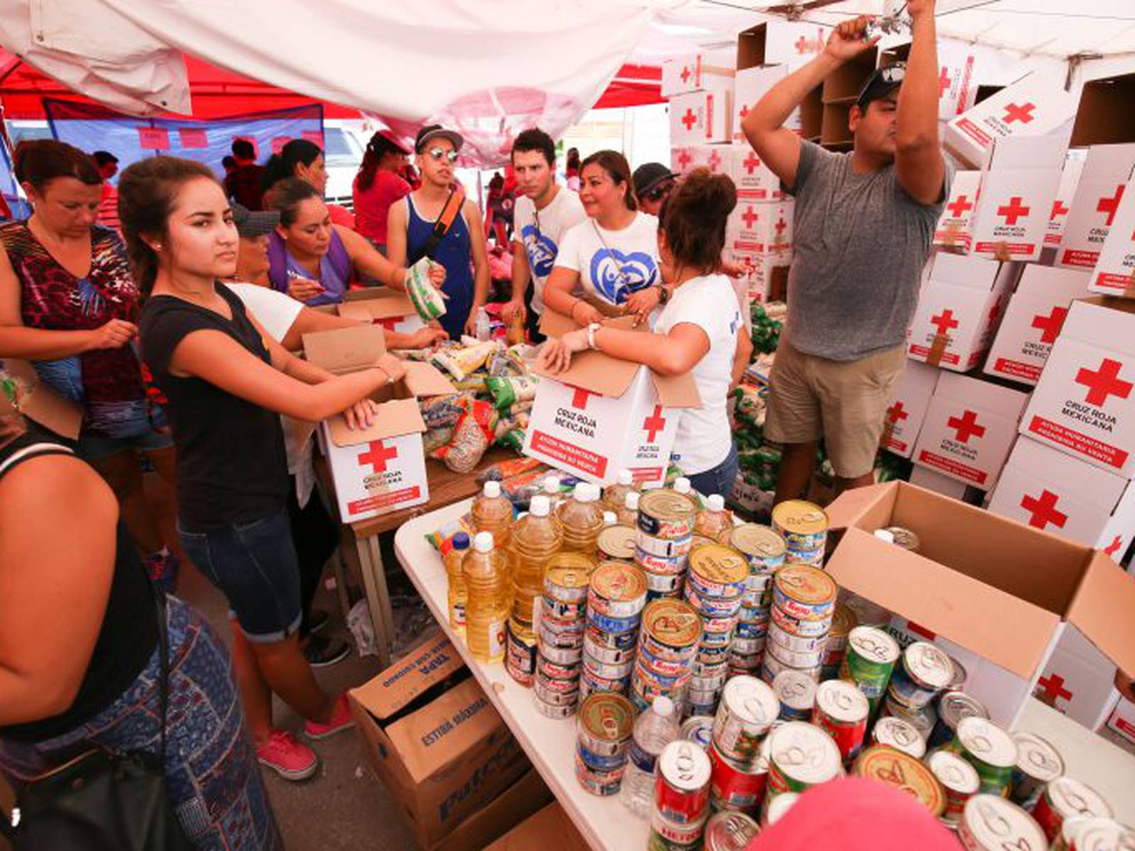 La videalcaldesa estrena la 'hucha electrónica' en la mesa de donaciones de  Cruz Roja