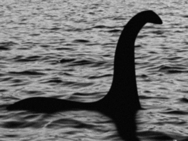 Estudio revela que el monstruo del Lago Ness podría ser una anguila gigante