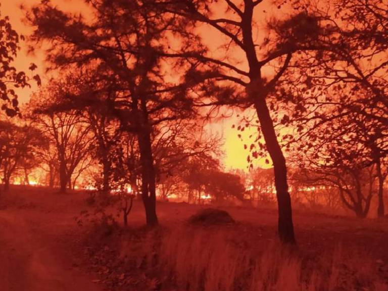 Incendio continúa en el Bosque de la Primavera en Jalisco