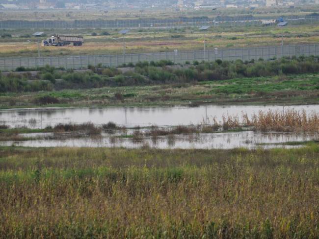 Semarnat revela estudio para declarar Lago de Texcoco como área protegida