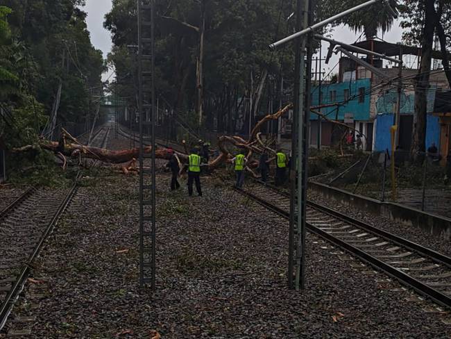 Trolebús Linea 1 y Tren Ligero suspenden el servicio por árboles caídos