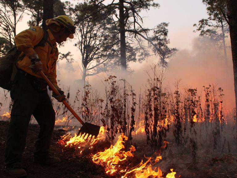 Se reportan 93 incendios forestales en 19 entidades del país: Conafor