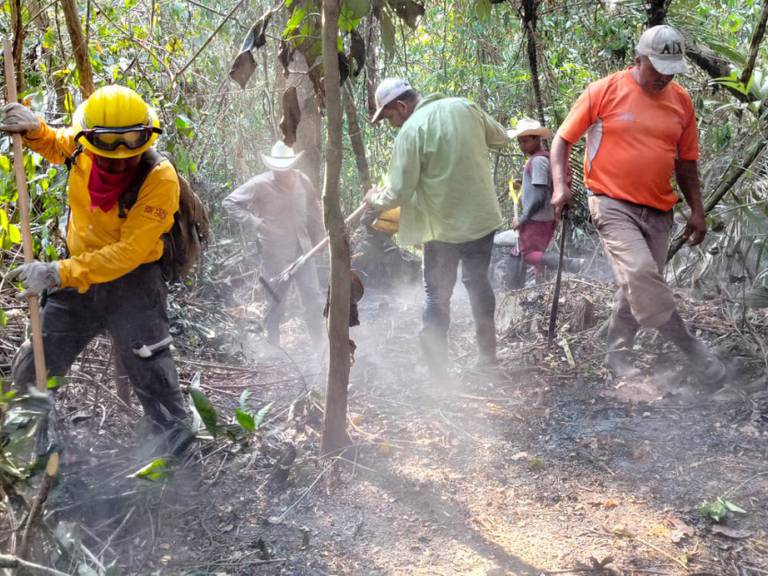 Ya trabajan para apagar los incendios en Veracruz