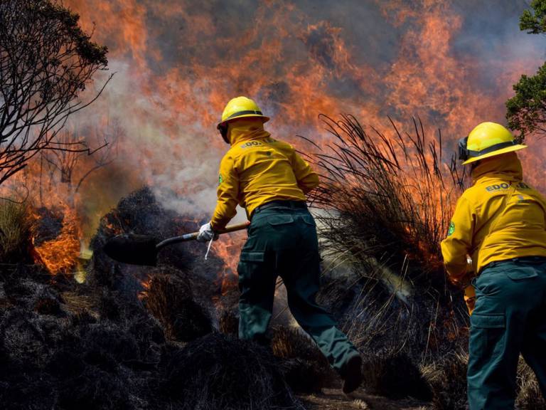 Reportan 73 incendios forestales, 7 de ellos en Áreas Naturales Protegidas