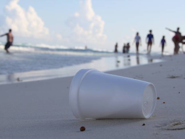 ¿Sales de vacaciones? Estas son las playas más contaminadas, según Cofepris
