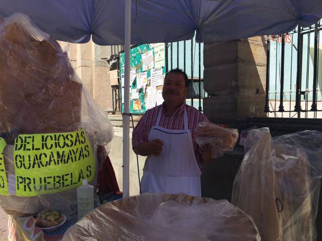 En búsqueda de las mejores guacamayas de Guanajuato