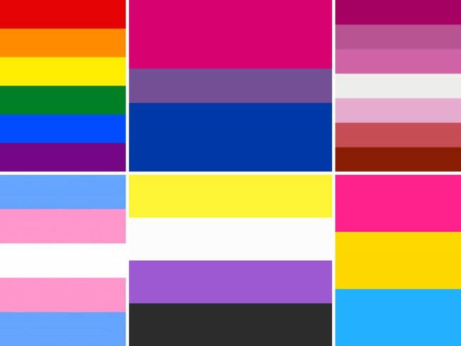 ¿Cuántas banderas hay del Orgullo LGBT+ y qué significa cada una?