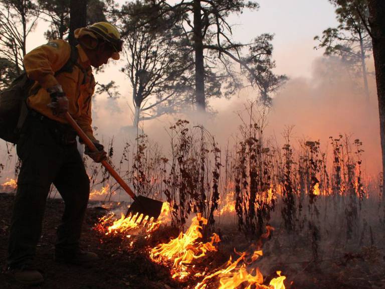 Conafor reporta 8 incendios forestales en 6 estados del país