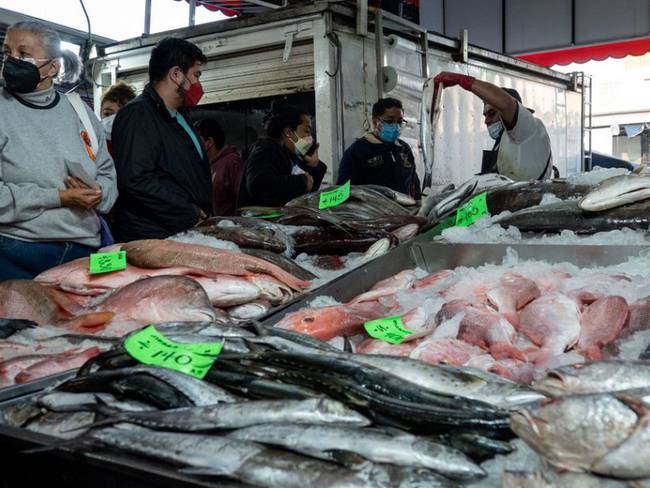 Garantizado abasto de pescados y mariscos en Semana Santa y cuaresma: Seder