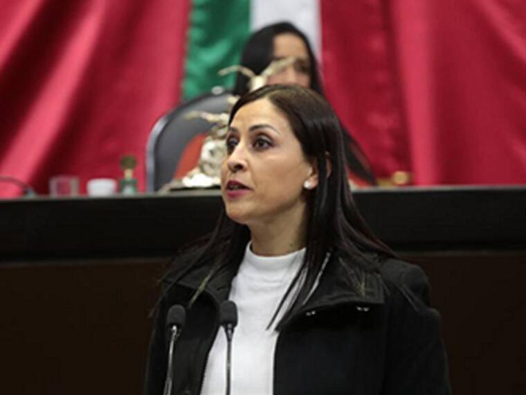 Si MORENA se empeña en consumar la regresión autoritaria, se va a topar con el PRI: Sue Bernal