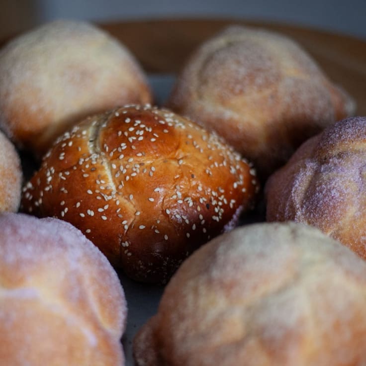 Festival de Pan de Muerto CDMX 2026: Fecha, sede, precio y todo lo que habrá para la temporada en el Museo Kaluz