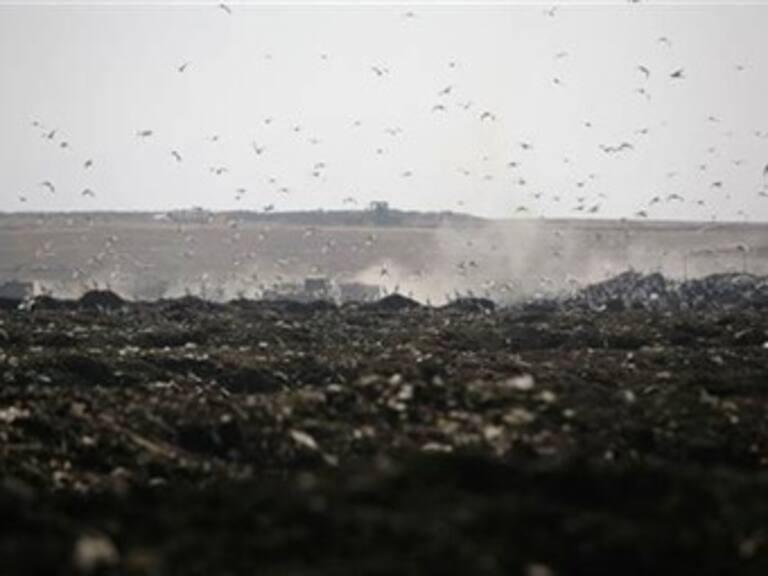 Presenta GDF licitación para Bordo Poniente