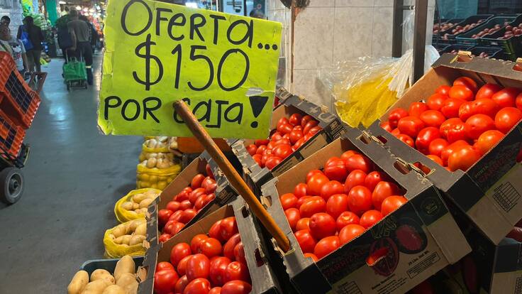 Productores de jitomate en crisis por arancel de EE.UU; pérdidas millonarias y toneladas al desperdicio