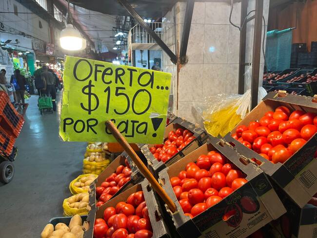 Productores de jitomate en crisis por arancel de EE.UU; pérdidas millonarias y toneladas al desperdicio