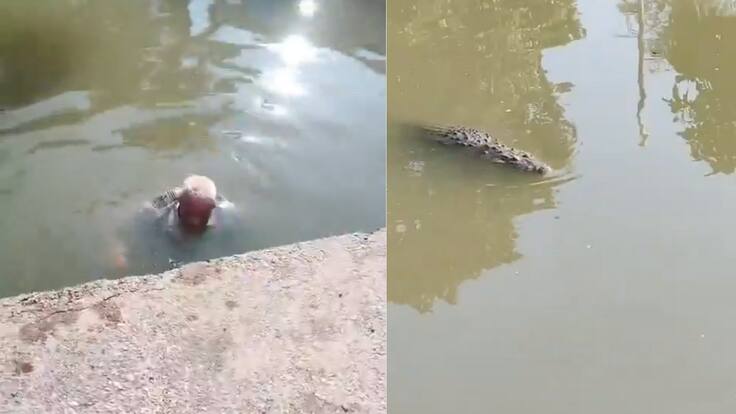 Joven salva a adulto mayor y evita que sea agredido por un cocodrilo mientras nadaba en un canal en Tampico