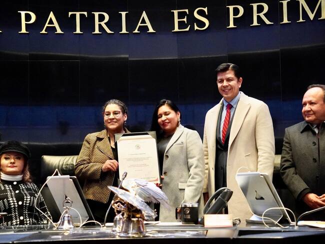 Lenia Batres, delegada del poder Ejecutivo en la Corte, asegura Jesús Silva-Herzog Márquez