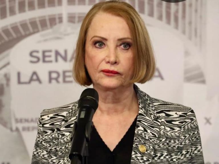 A través de un comunicado, la presidenta del Senado, Laura Itzel Castillo pidió a las autoridades que el crimen de la periodista Roxana Guzmán sea investigado con perspectiva de género.