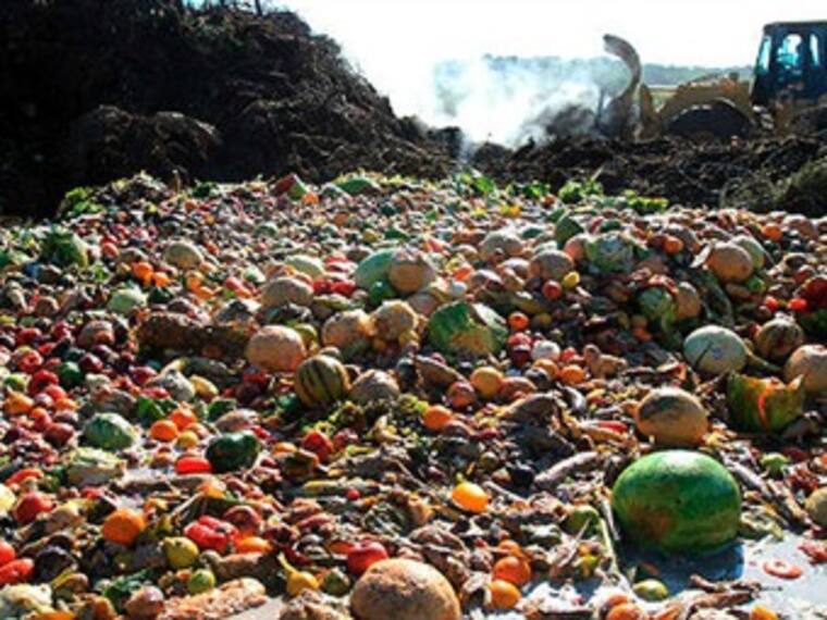 El Elevado Costo de Desperdiciar Alimentos