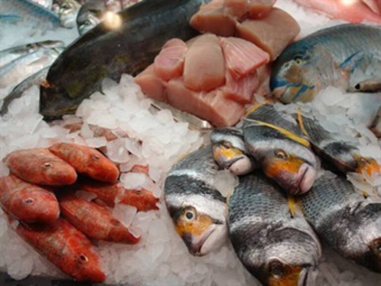Pescados y mariscos en DF están en condiciones óptimas de consumo