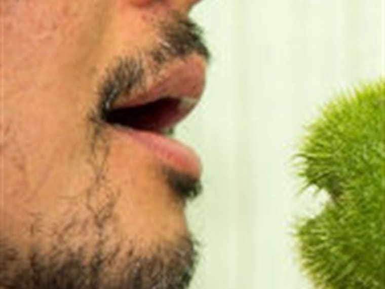 Llega a 'Triple W' el 'Chayote'