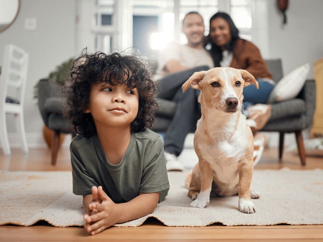 ¿En México hay más hogares con niños o con mascotas? Así están los censos