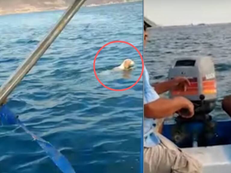 Pescadores rescatan a perrito en medio del mar en Baja California Sur
