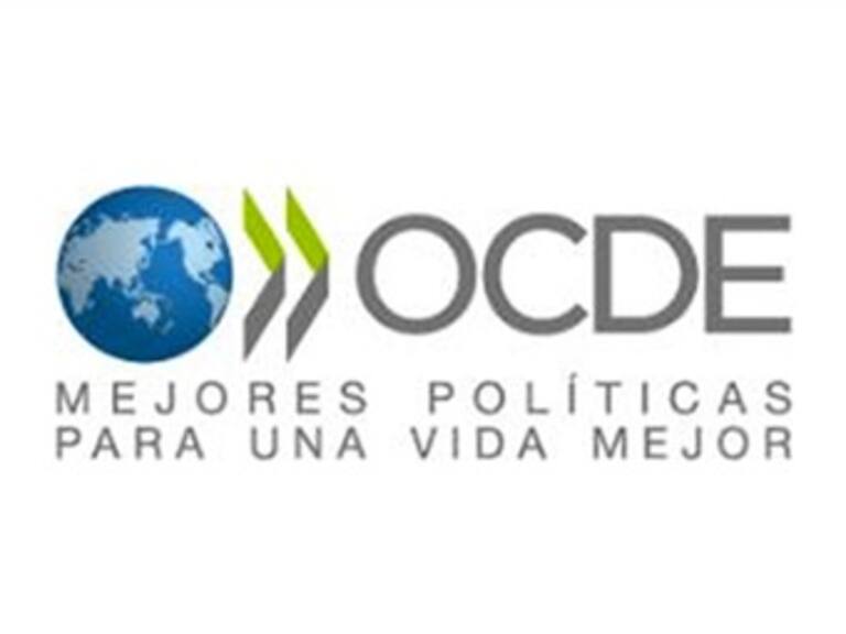 OCDE reconoce en reformas avance para reducir desigualdad
