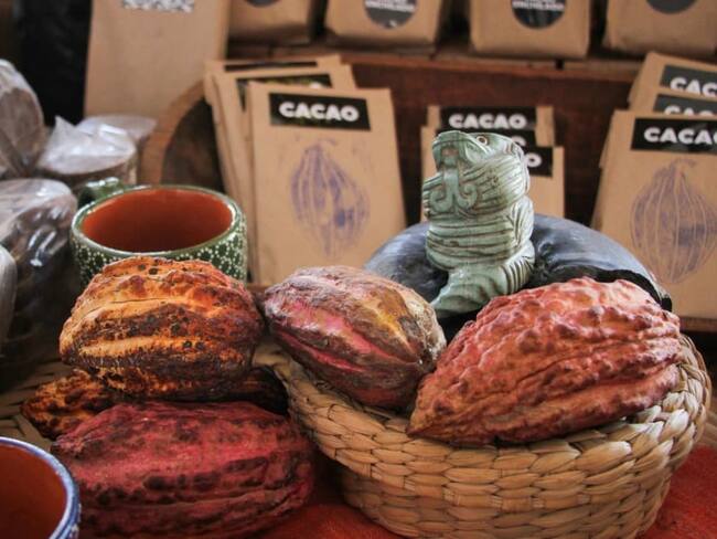 ¡Nuevo Museo en CDMX! Así es el Museo del Cacao y Chocolate ubicado en el corazón de la capital