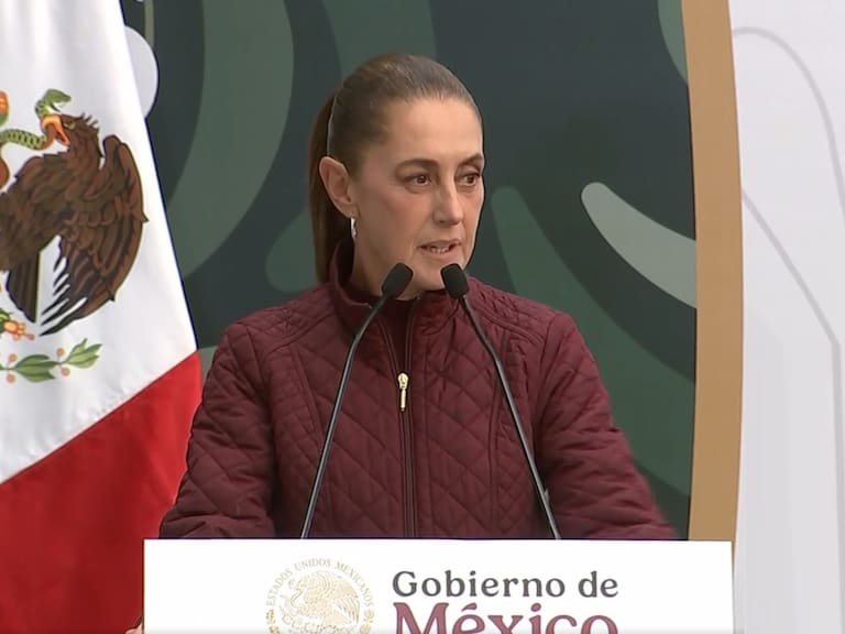 Entre febrero y marzo comenzará un sistema de credencialización de salud para las y los mexicanos que contendrá el expediente clínico, compartió la presidenta Sheinbaum
