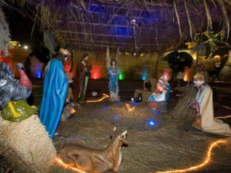 Nacimiento más grande del mundo.Fernando Pineda,organizador