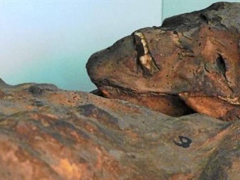 ¿Cuál es la utilidad de la rehidratación de cadáveres?