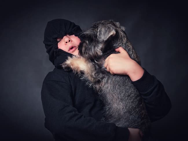 Robo de perros en CDMX: estas son las colonias con más reportes