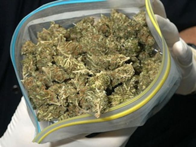 Rechaza California legalización de marihuana