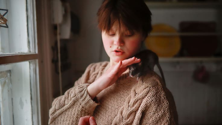 Hantavirus: ¿Cuáles son los síntomas y por qué está generando alerta esta nueva enfermedad que es contagiosa?