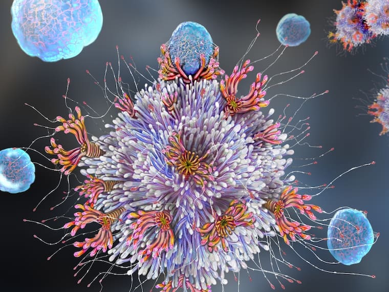 Coronavirus: Lo que debes saber del sistema inmunológico