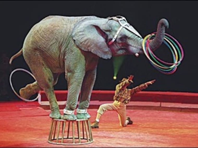 &#039;La ALDF ha hecho todo a espalda del circo mexicano&#039;: Fuentes Gasca