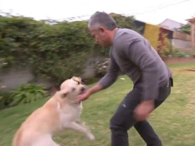 Muerden al 'Encantador de Perros', César Millán
