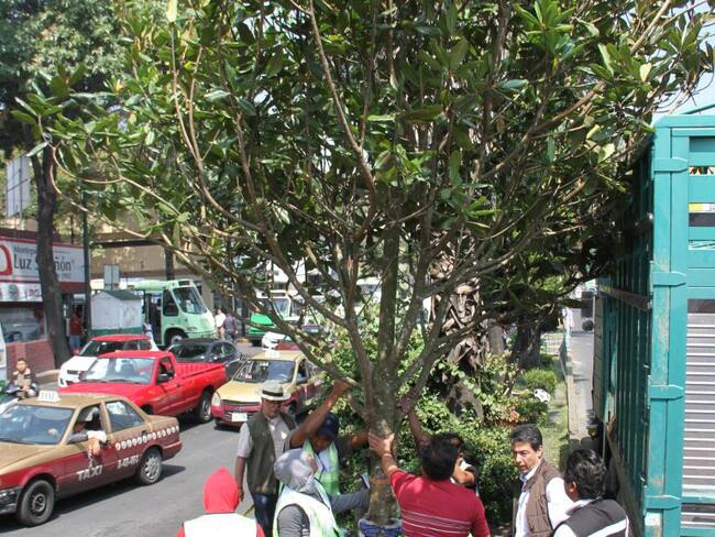 Cinco colonias de la zona de Mixcoac llevan ¡14 años afectadas por obras viales!