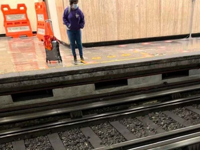 Perrito causa retraso en línea 2 del metro por pasear en la vías | FOTOS