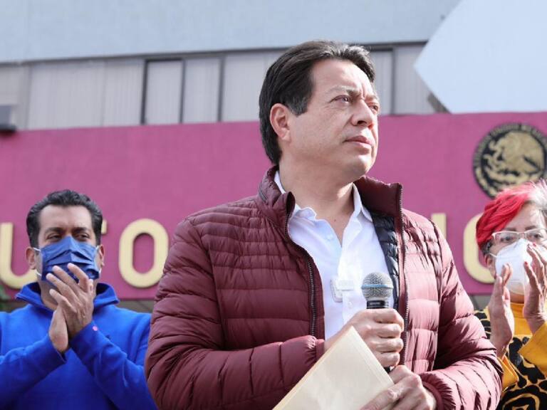 Delgado pide agilizar tercera encuesta para dirigencia de Morena