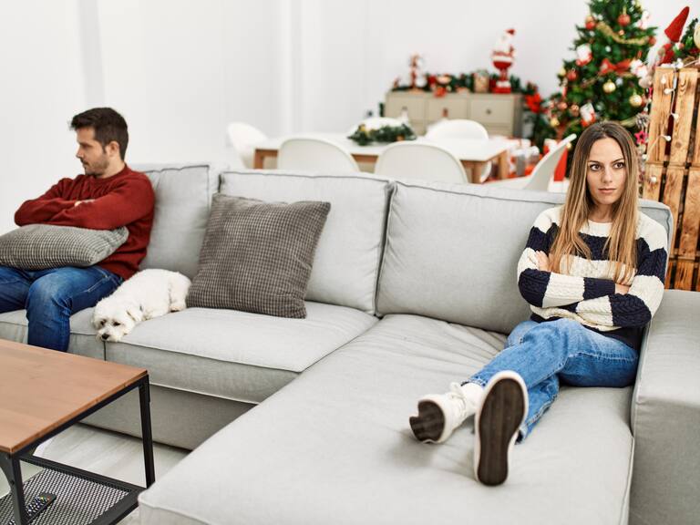 En caso de no llegar a un acuerdo, un juez determinará el mejor plan para el bienestar de la mascota