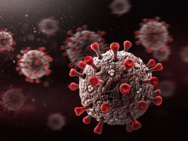 Mutaciones, variantes y cepas: cómo evoluciona el coronavirus