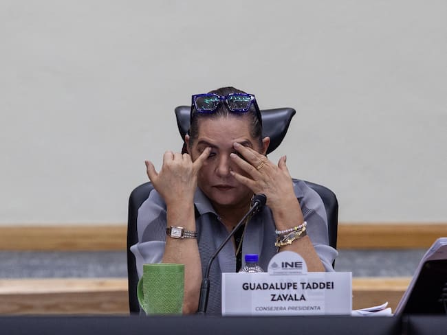Piden a Guadalupe Taddei reconsiderar su permanencia en el INE por presuntas irregularidades